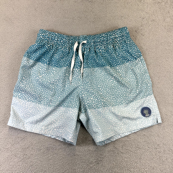 chubbies Other - Chubbies Swim Trunk Mens Small Blue Striped Beach Lined 5.5 Inseam